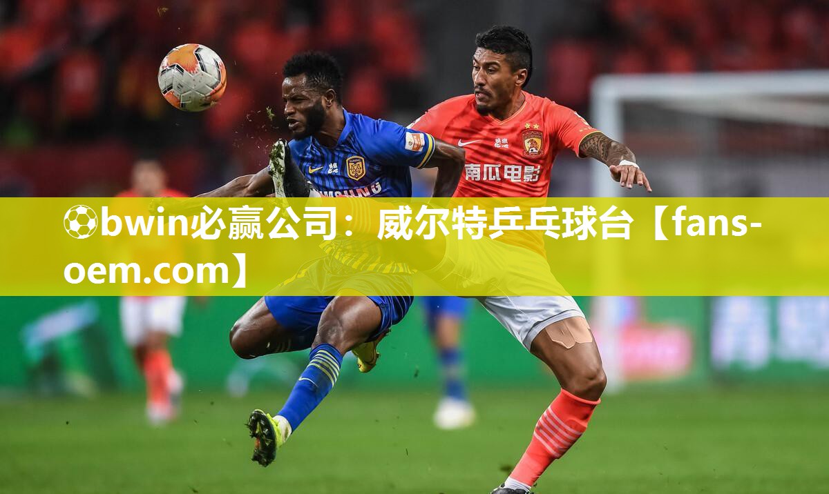 ⚽bwin必赢公司：威尔特乒乓球台