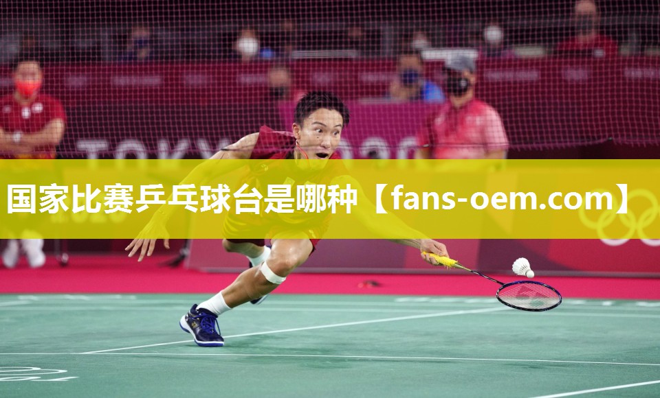 国家比赛乒乓球台是哪种