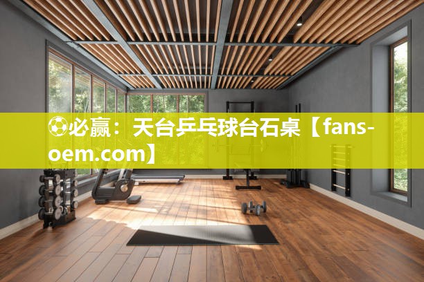 天台乒乓球台石桌