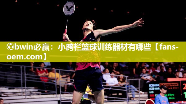 小跨栏篮球训练器材有哪些
